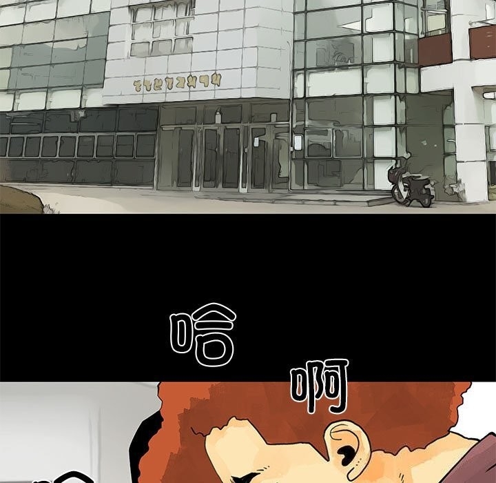 第43张