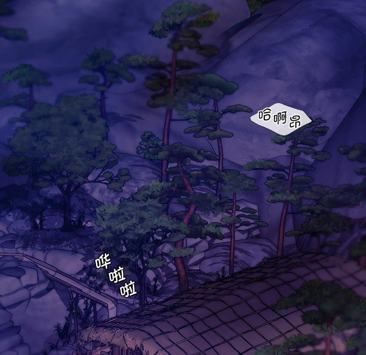 第135张