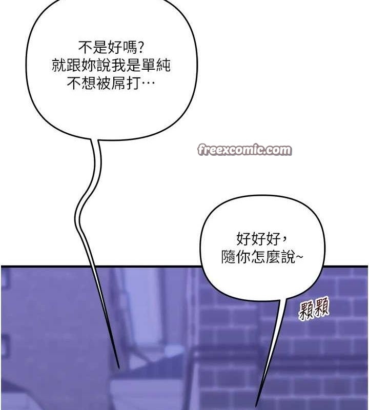 第31张