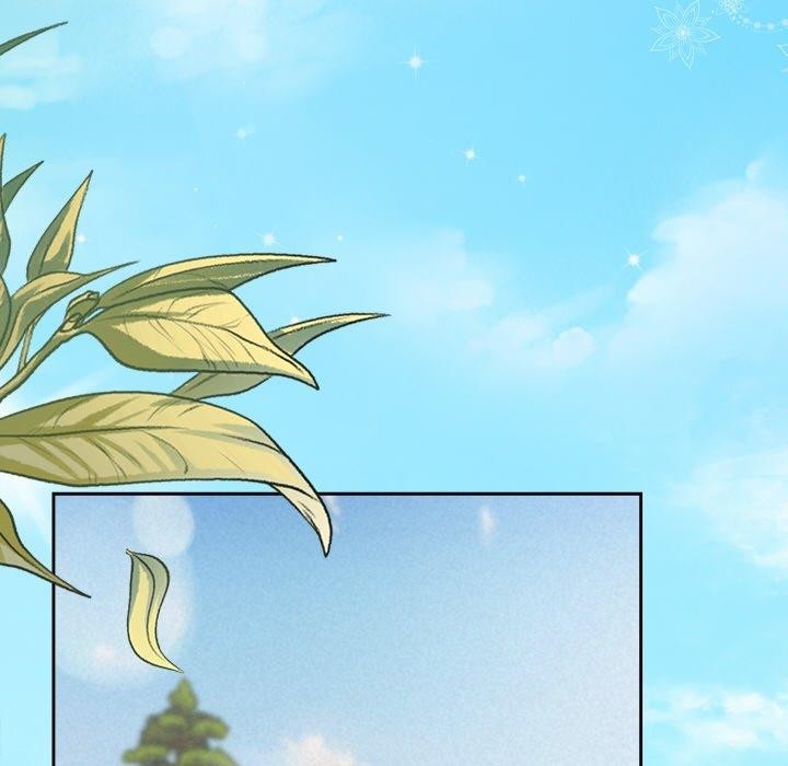 第8张