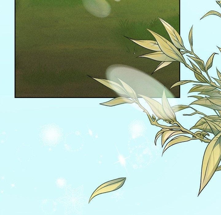 第12张