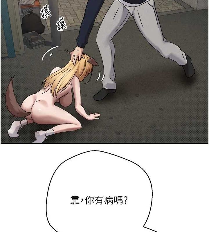 第49张