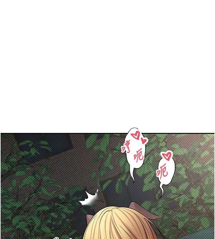 第74张
