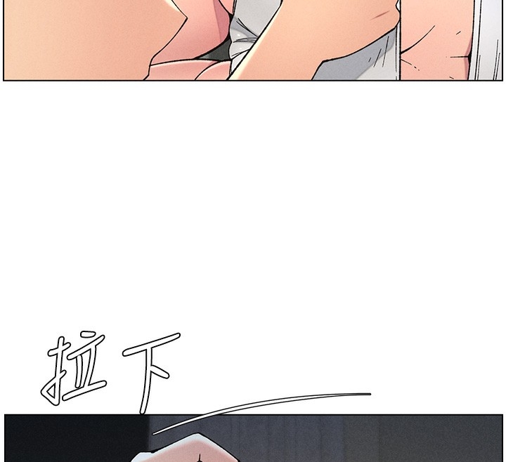第113张