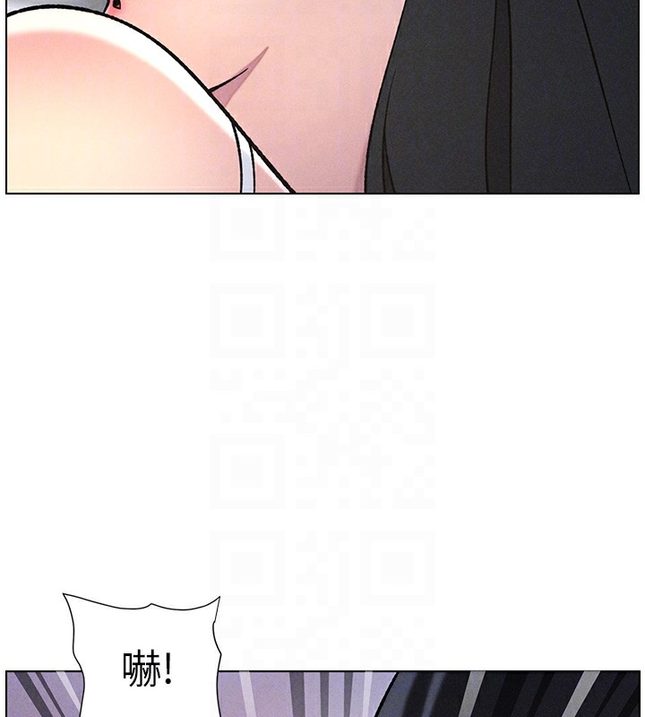 第17张