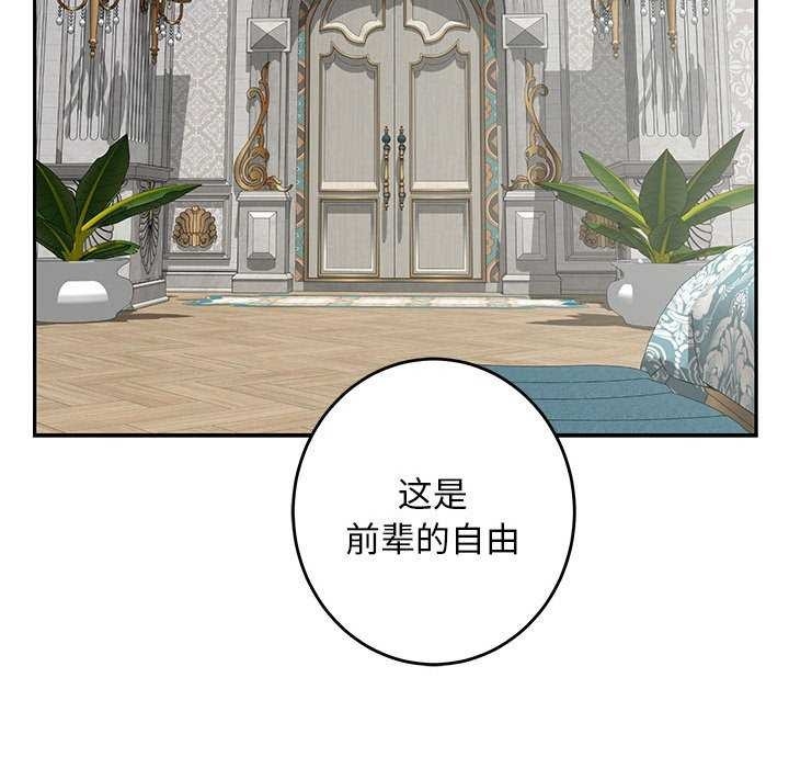 第105张