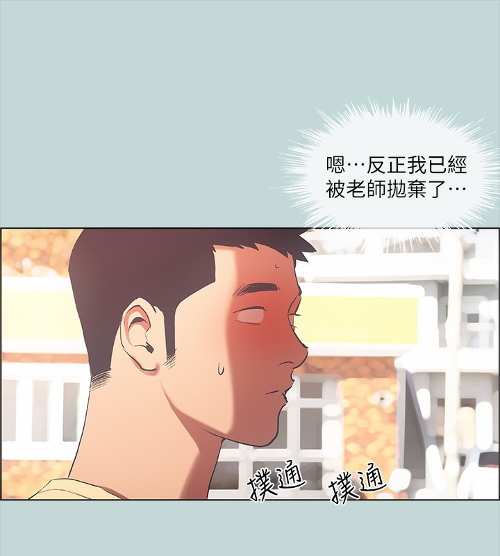 第13张