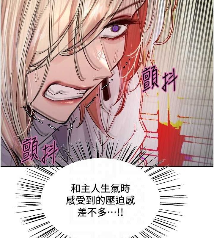 第12张