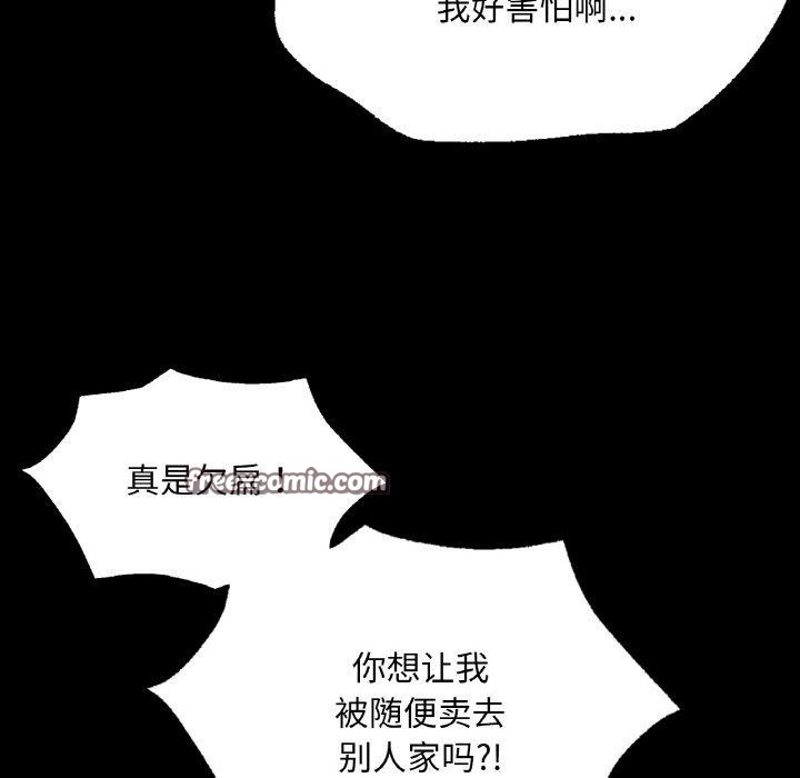第146张