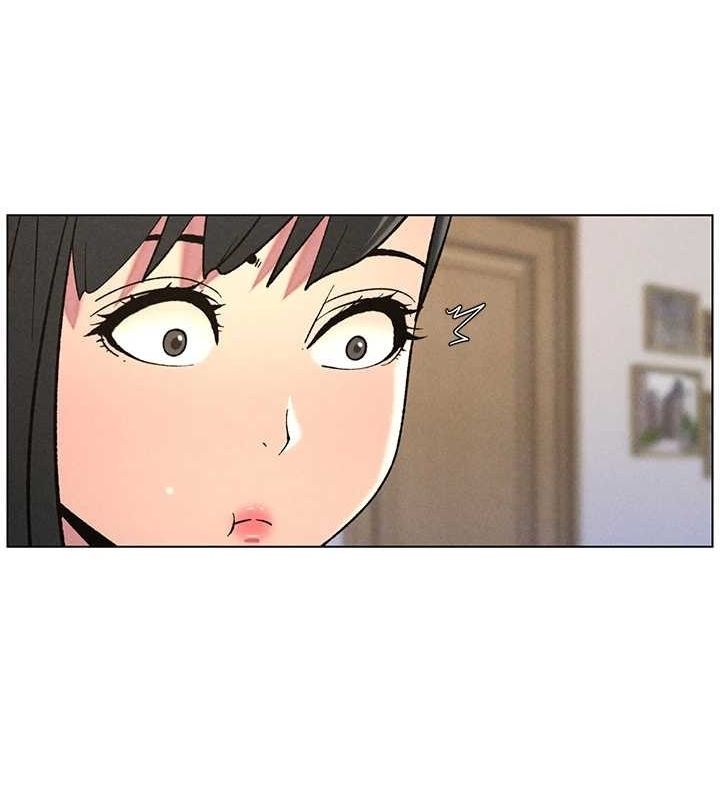 第44张