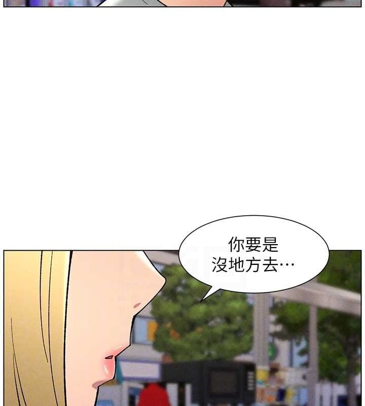 第113张