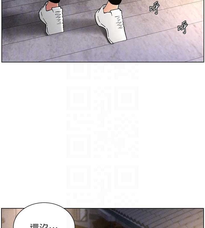 第5张