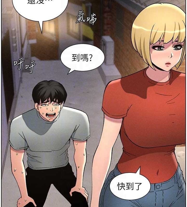 第8张