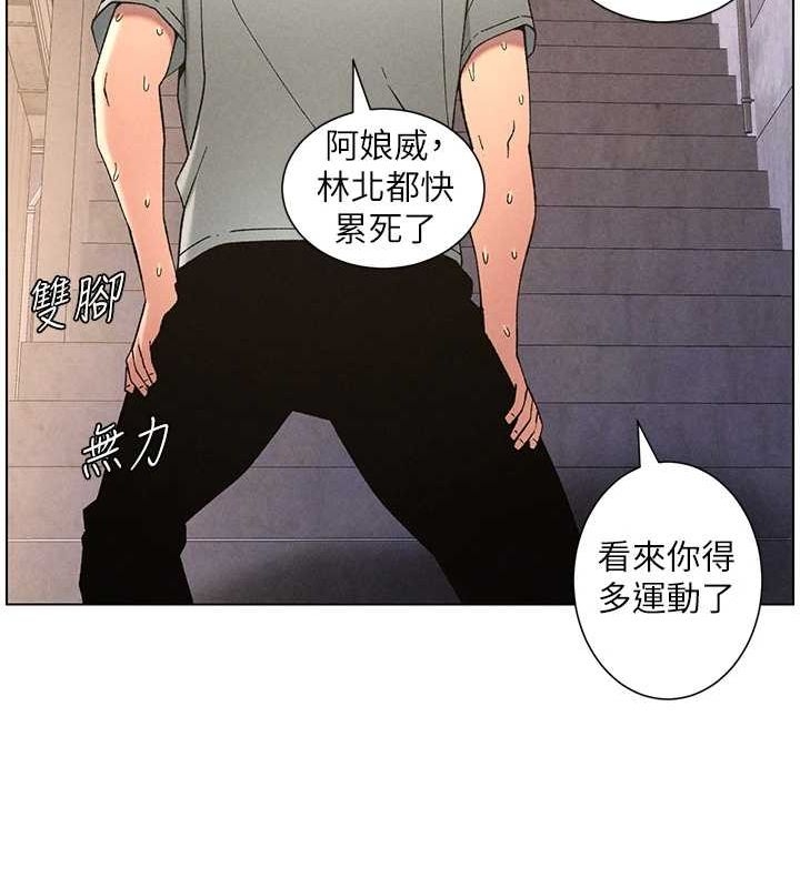 第13张