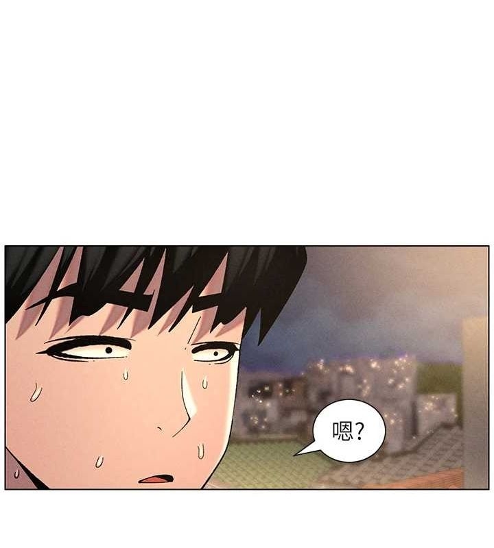 第17张