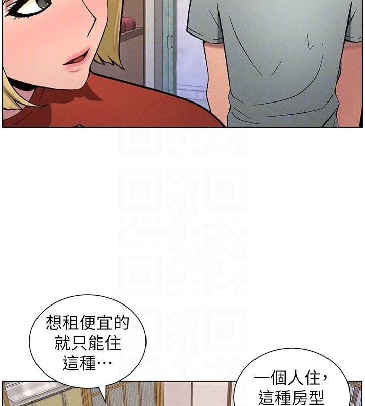 第84张