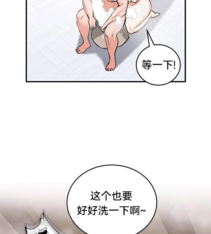 第4张