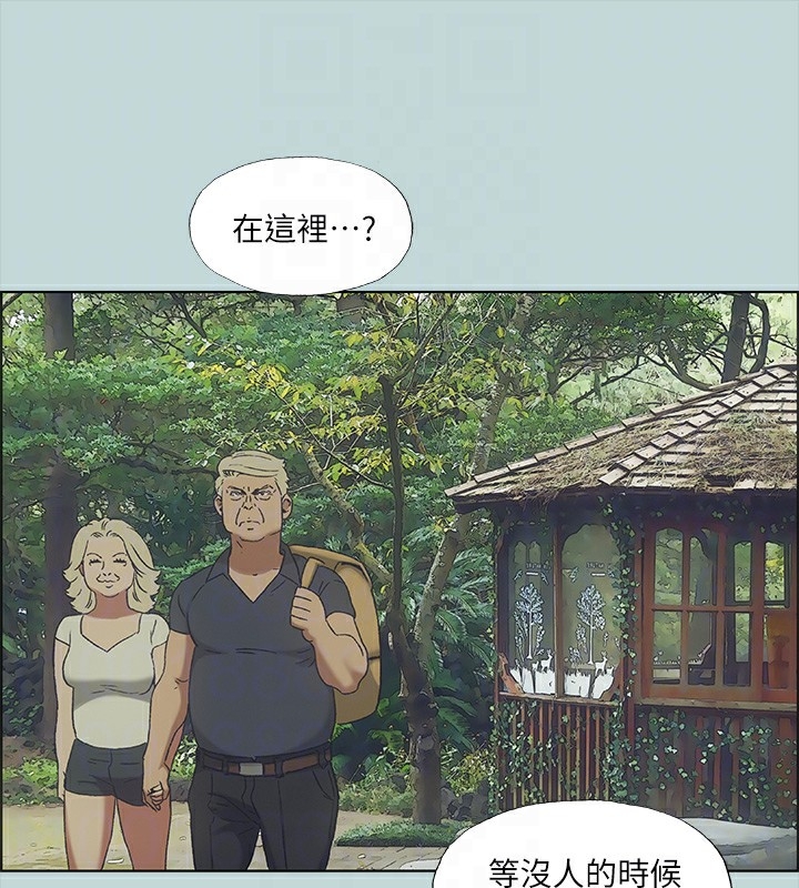 第45张