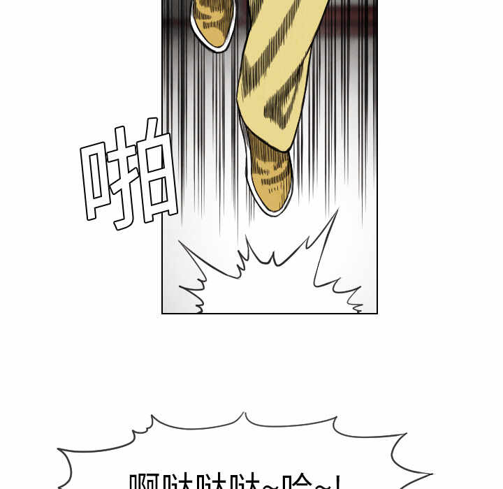第41张