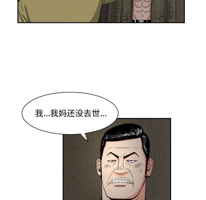 第23张