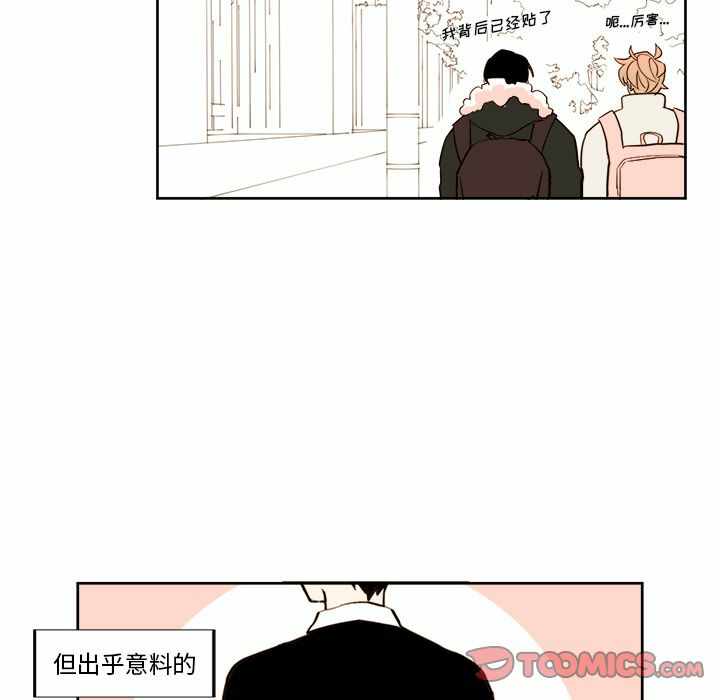 第23张