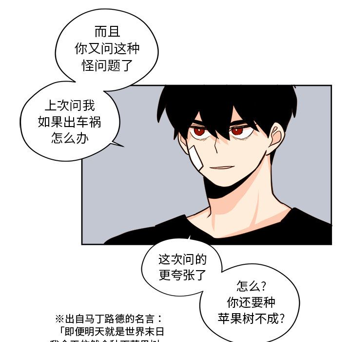 第26张