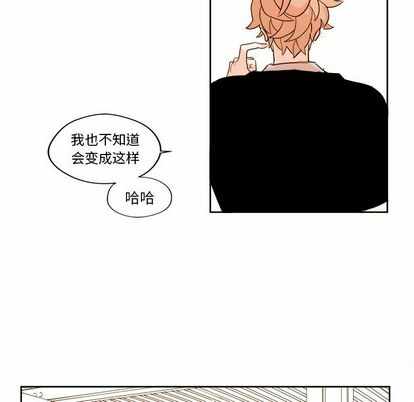 第28张