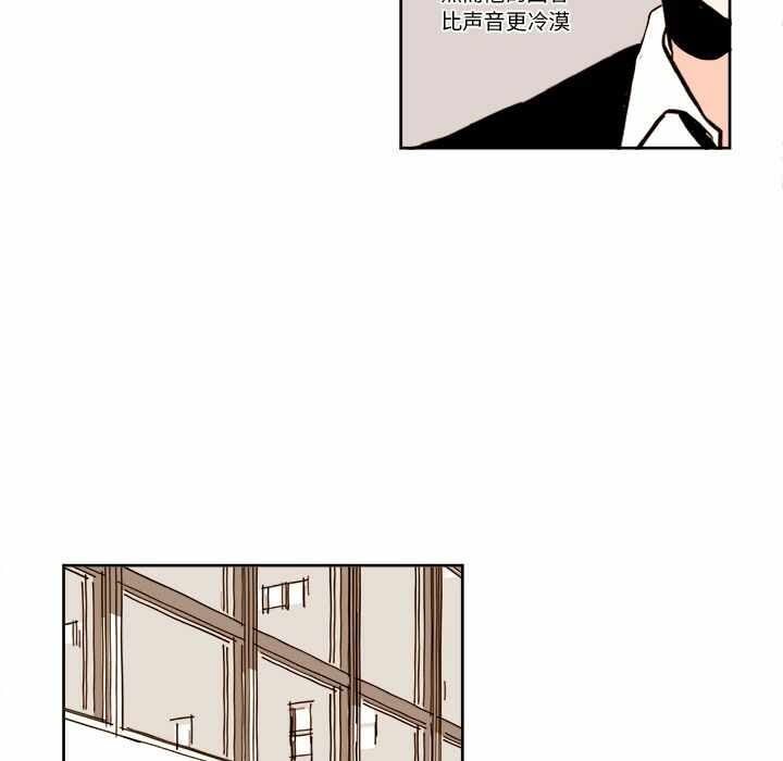 第28张