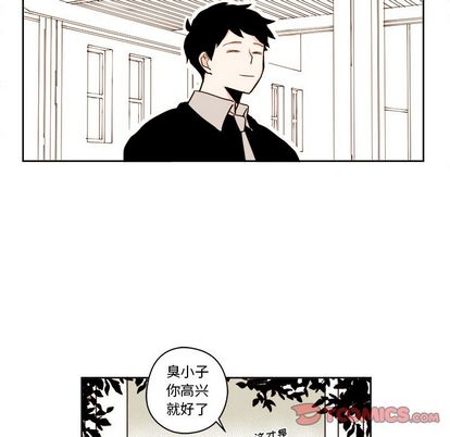 第29张