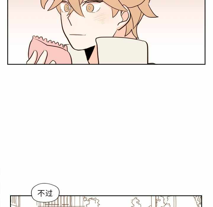 第30张