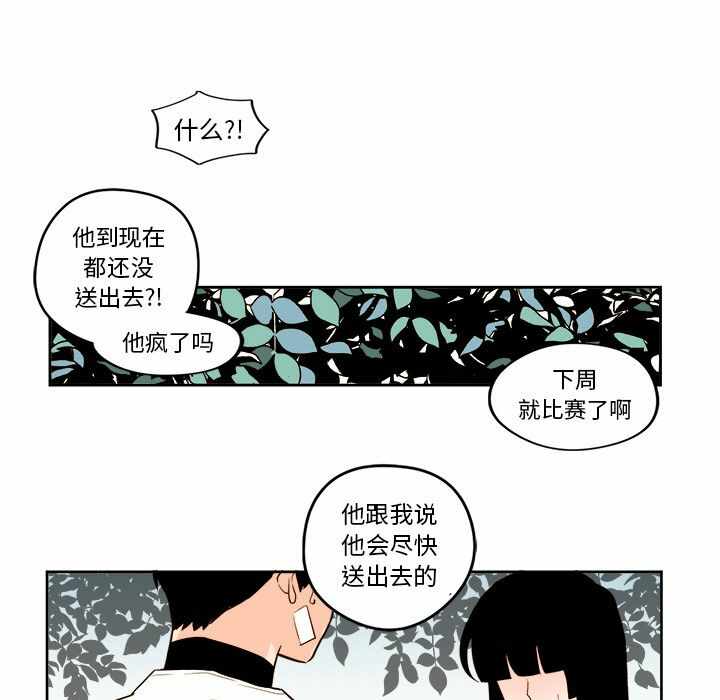 第32张
