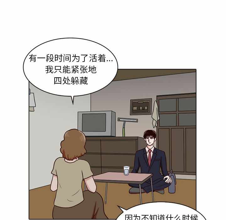 第48张