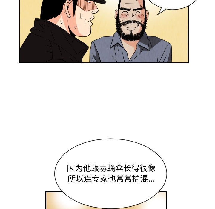 第33张