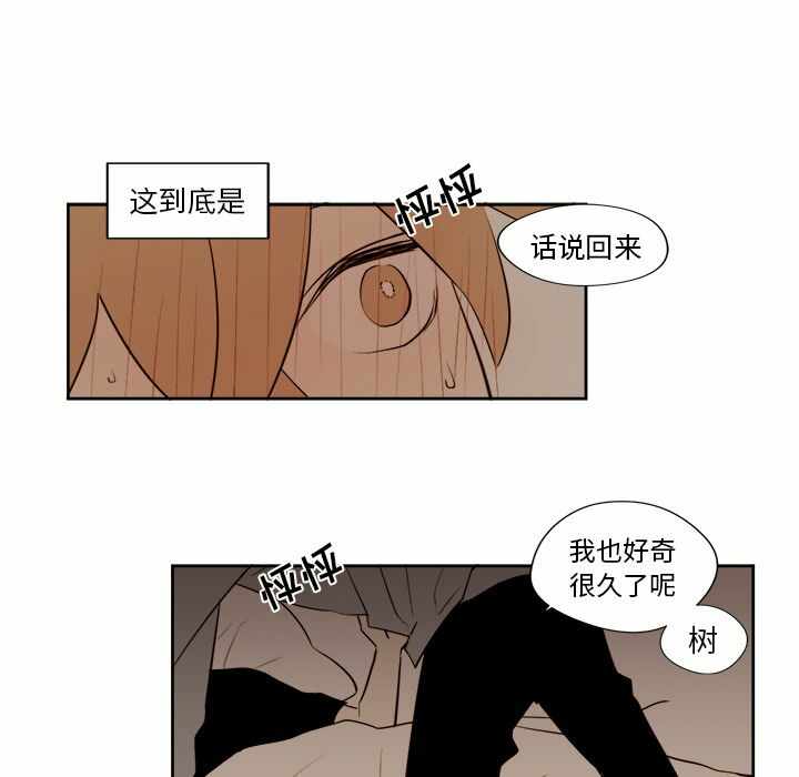 第36张