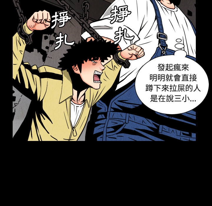 第56张