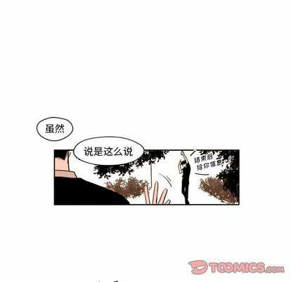 第37张
