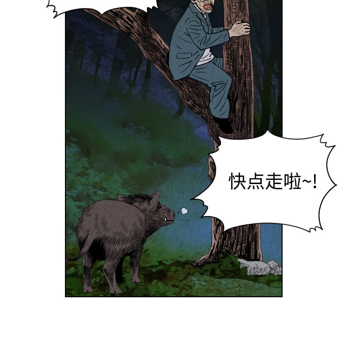 第49张
