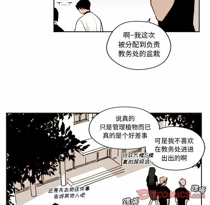 第37张