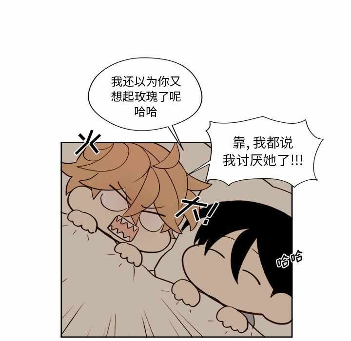 第38张