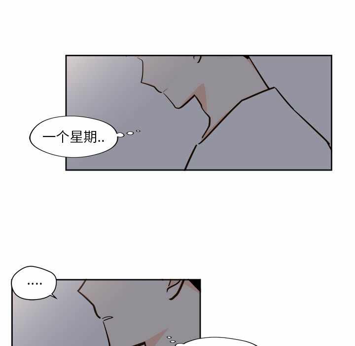 第40张