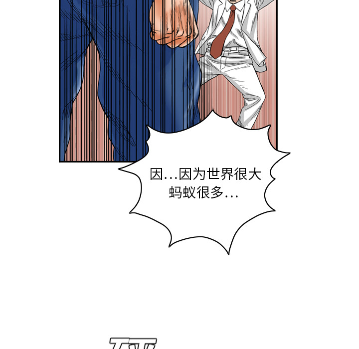 第55张