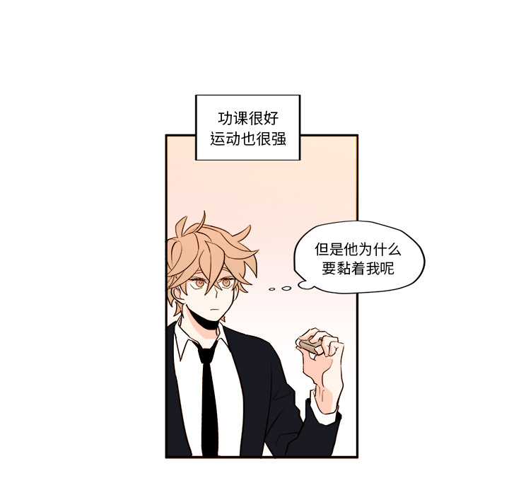 第43张