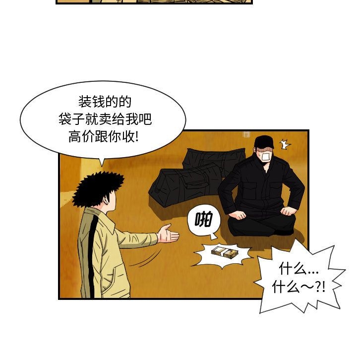 第43张