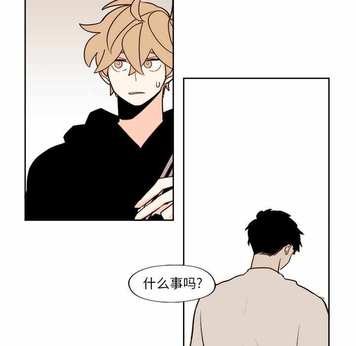 第44张