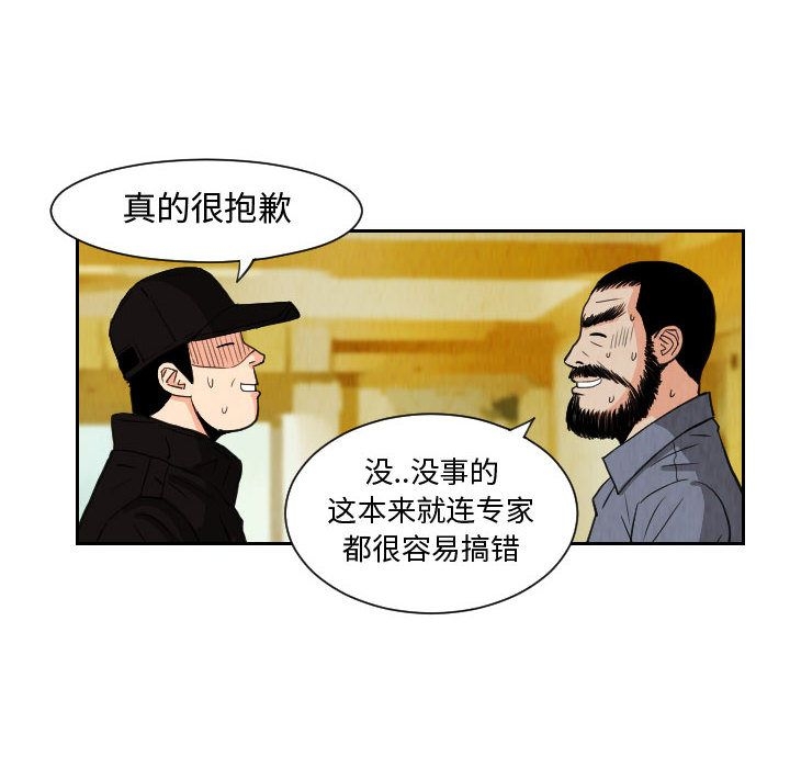 第44张