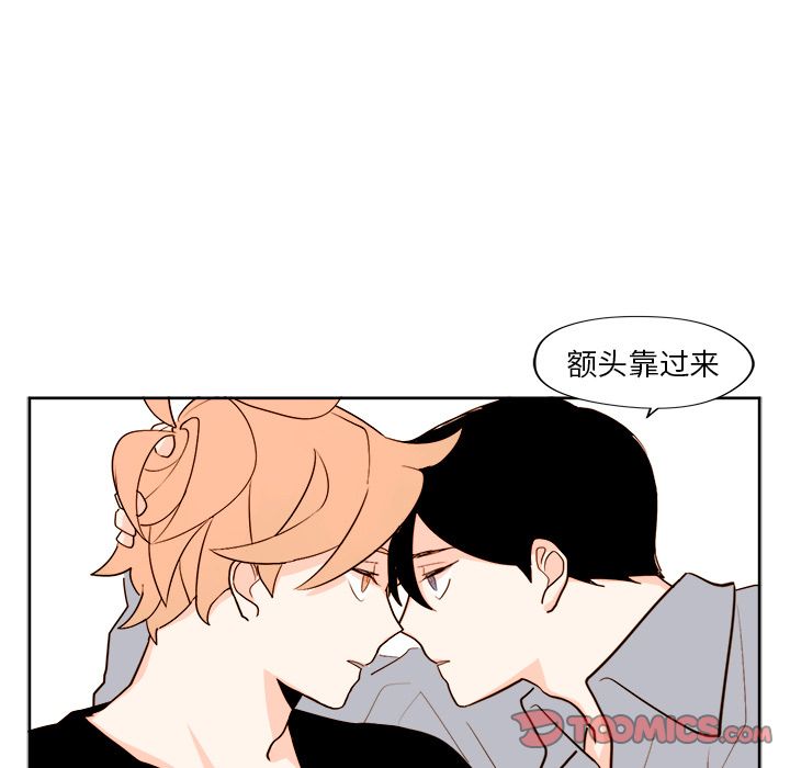 第45张