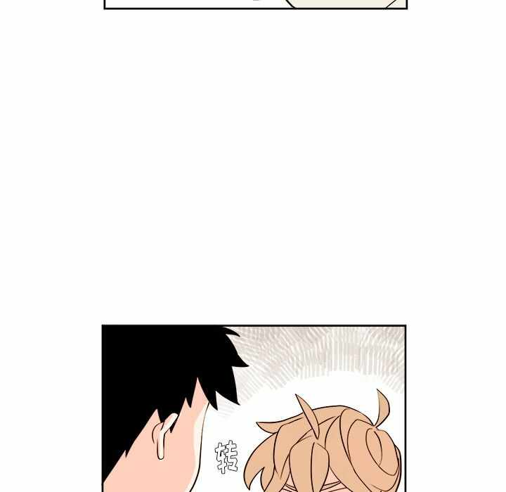 第46张