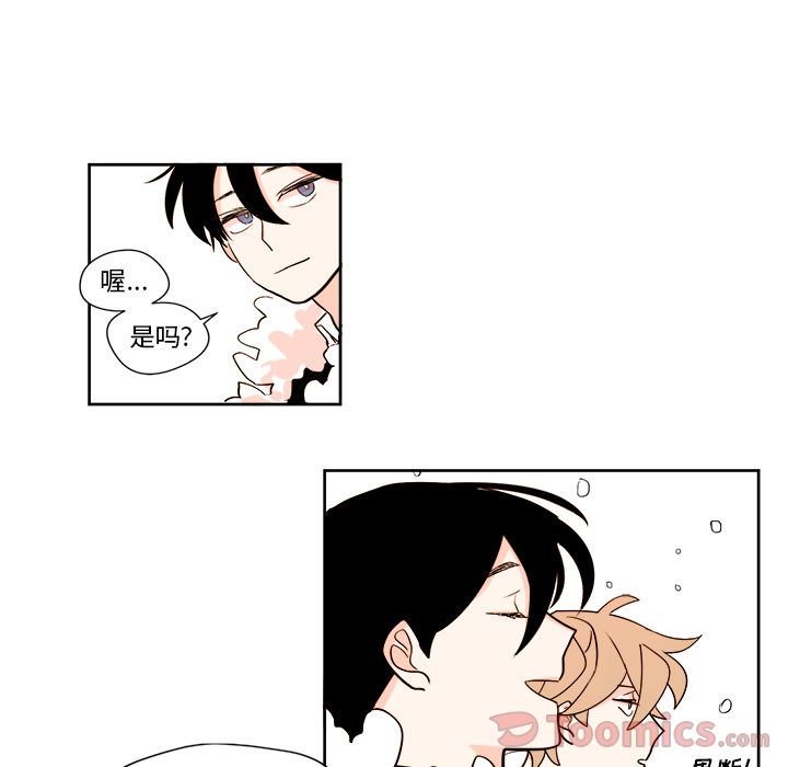 第48张