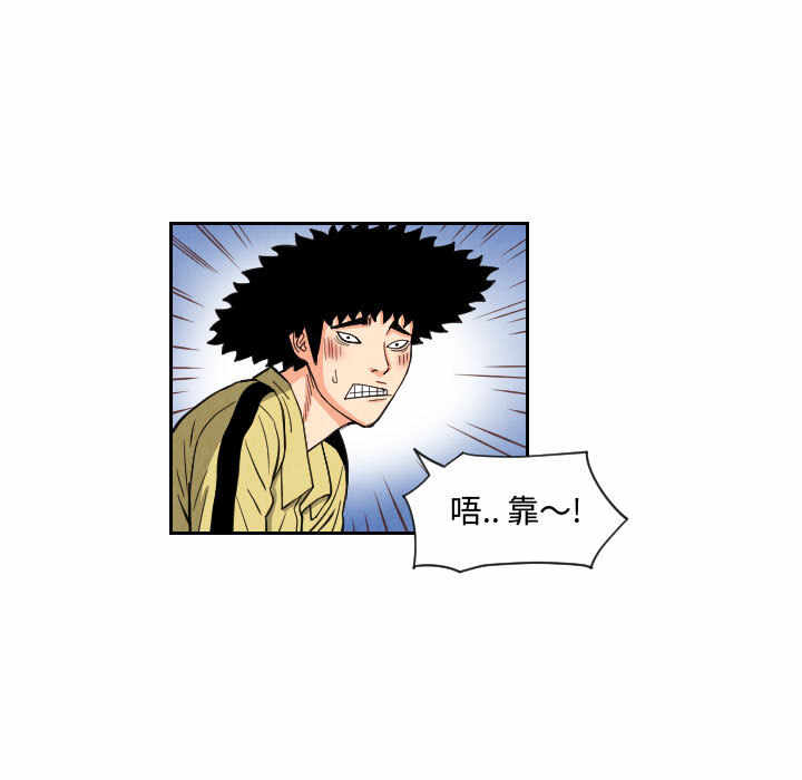 第55张