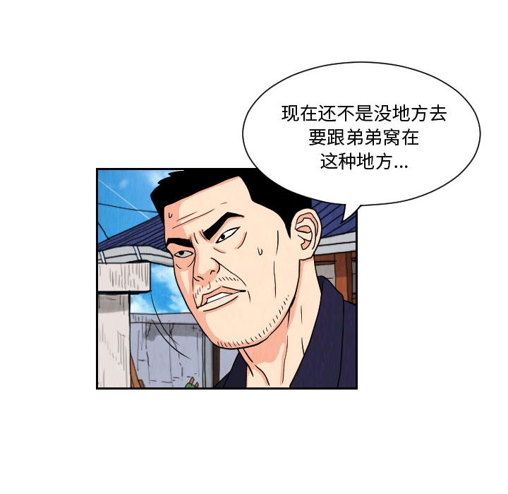 第50张
